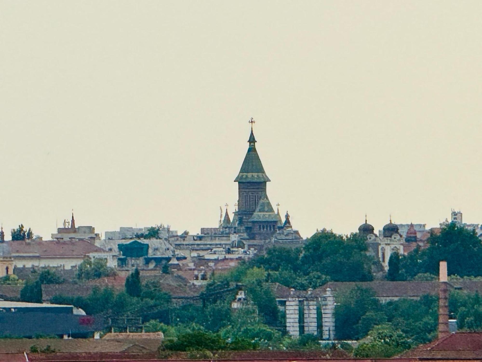 Joy City Stay Forest 84 Тимишоара Экстерьер фото