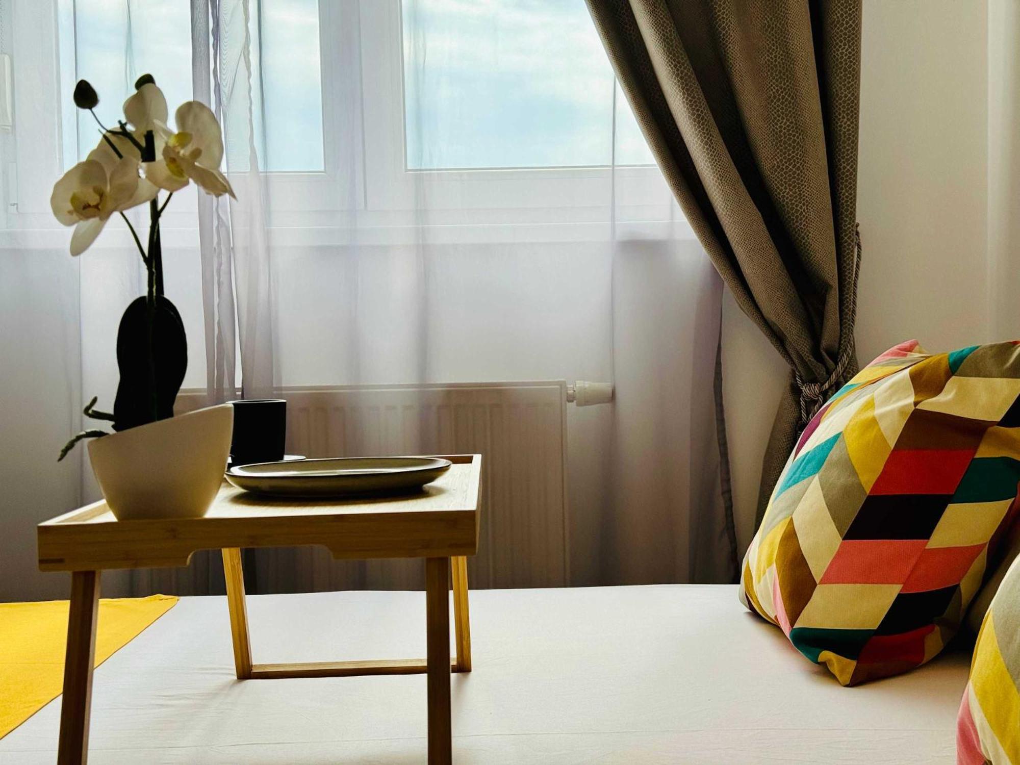 Joy City Stay Forest 84 Тимишоара Экстерьер фото
